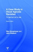 Case Study in Visual Agnosia Revisited