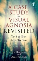 Case Study in Visual Agnosia Revisited