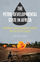 Petro-Developmental State in Africa