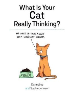 What Is Your Cat Really Thinking?