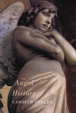 Angel of History