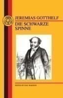 Schwarze Spinne