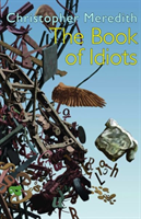 Book of Idiots