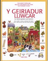 Geiriadur Lliwgar, Y