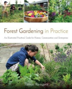 Forest Gardening in Practice An Illustrated Practical Guide for Homes, Communities and Enterprises