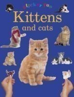Sticker Fun - Kittens & Cats