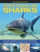 Exploring Nature: Spectacular Sharks
