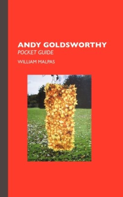 Andy Goldsworthy