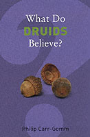 What Do Druids Believe?