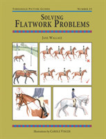 Solving Flatwork Problems