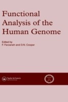 Functional Analysis of the Human Genome