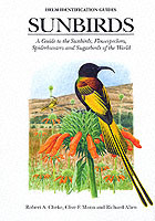 Sunbirds