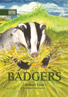 Badgers