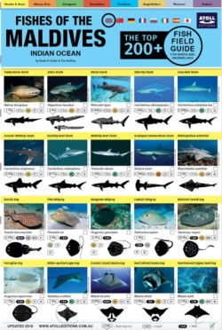 Maldives Fish Field Guide "Top 200+"