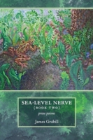 Sea-Level Nerve