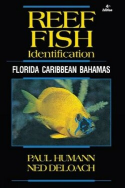 Reef Fish Identification