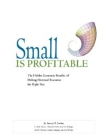 Small is Profitable