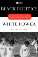 Black Politics / White Power