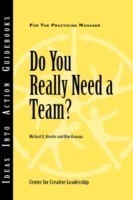 Do You Really Need a Team?