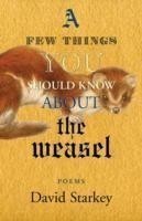 Few Things You Should Know About the Weasel