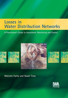 Losses in Water Distribution Networks