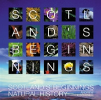 Scotland's Beginnings