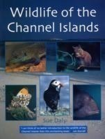 Wildlife of the Channel Islands