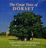 Great Trees of Dorset