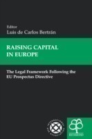 Raising Capital in Europe