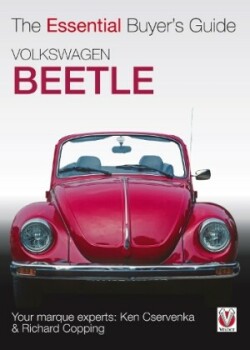 Vw Beetle