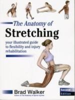 Anatomy of Stretching