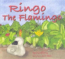 Ringo the Flamingo