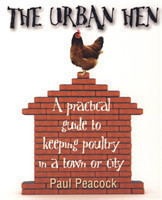 Urban Hen