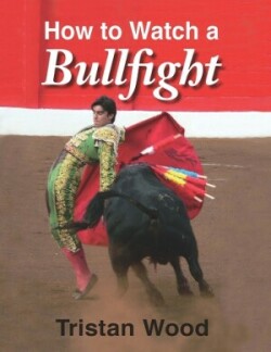 How to Watch a Bullfight