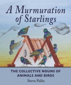 Murmuration of Starlings The Collective Nouns of Animals and Birds