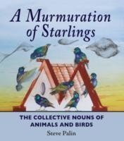 Murmuration of Starlings