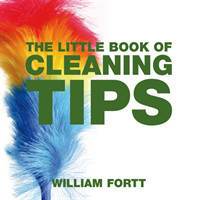 Little Book of Cleaning Tips