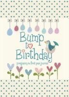 Bump to Birthday, Pregnancy & First Year Journal