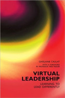 Virtual Leadership