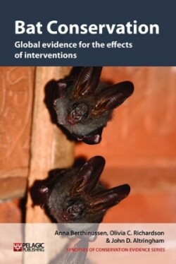 Bat Conservation : Global Evidence for the Effects of Interventions