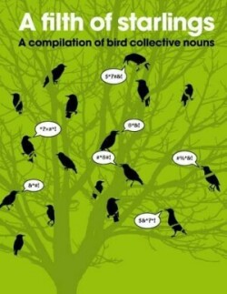 Filth of Starlings: A Compilation of Bird Collective Nouns