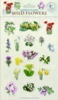 Wild Flowers