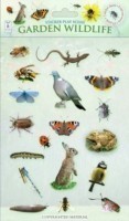 Garden Wildlife