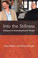 Into the Stillness Dialogues on Awakening Beyond Thought