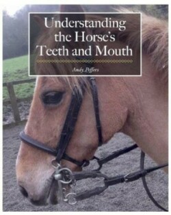 Understanding the Horse's Teeth and Mouth