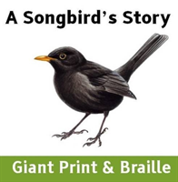Songbird's Story