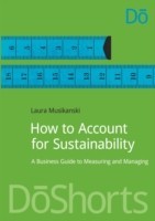 How to Account for Sustainability