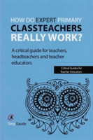 How do expert primary classteachers really work?