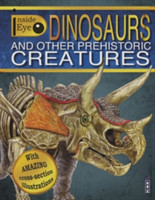 Dinosaurs And Other Prehistoric Creatures