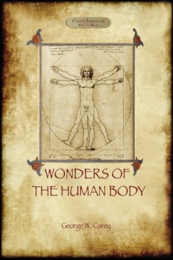 Wonders of the Human Body